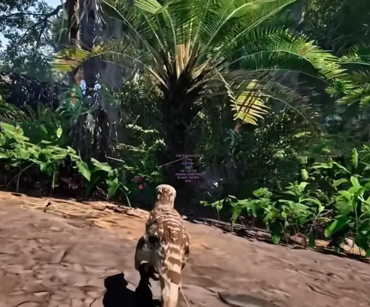 Daylight ESP The Isle daylight ESP with player health and stamina overlays